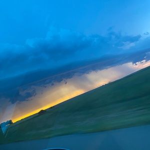 Meet your Posher, Bailey